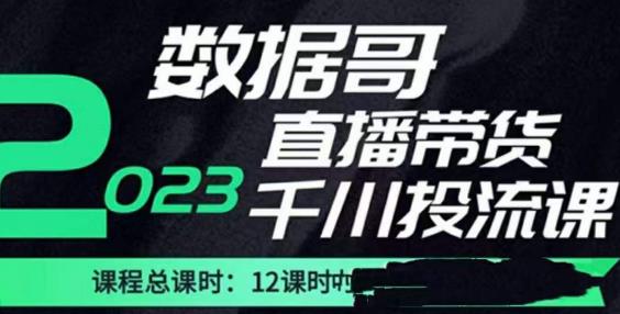 数据哥2023直播电商巨量千川付费投流实操课，快速掌握直播带货运营投放策略-第一资源站