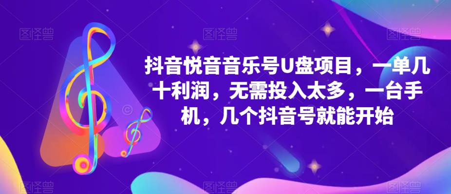 抖音音乐号U盘项目，一单几十利润，无需投入太多，一台手机，几个抖音号就能开始-第一资源站