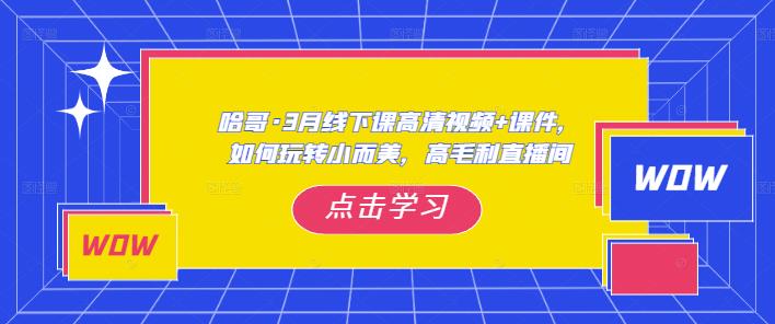 哈哥·3月线下实操课高清视频+课件，如何玩转小而美，高毛利直播间-第一资源站