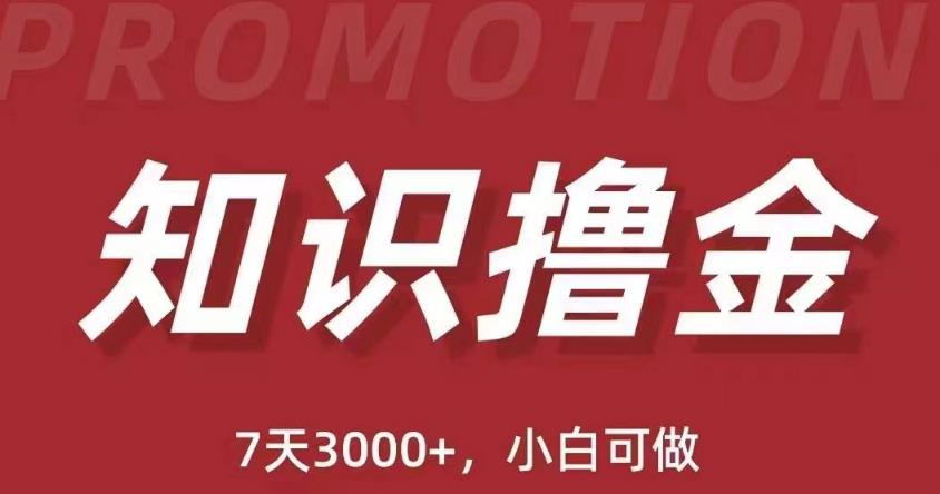 抖音知识撸金项目：简单粗暴日入1000+执行力强当天见收益(教程+资料)-第一资源站