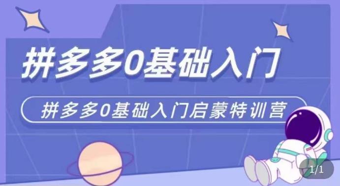 拼多多运营0-1实操特训营，拼多多0基础入门，从基础到进阶的可实操玩法-第一资源站