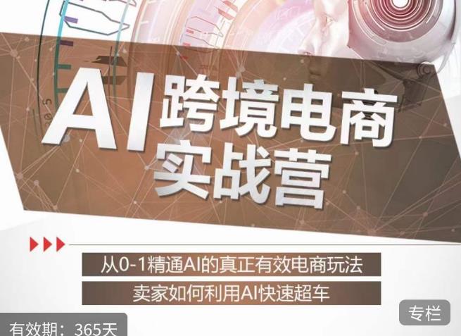 白龙老师·AI跨境电商实战营：从0-1精通Al的真正有效电商玩法，卖家如何利用Al快速超车-第一资源站