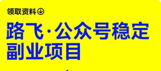 路飞·公众号稳定副业项目，你只要无脑去推广，粉丝和收入，自然就来了-第一资源站