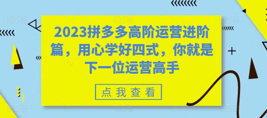 2023拼多多高阶运营进阶篇，用心学好四式，你就是下一位运营高手-第一资源站
