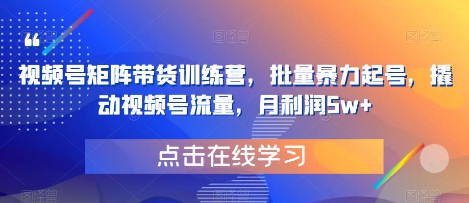 视频号矩阵带货训练营，批量暴力起号，撬动视频号流量，月利润5w+-第一资源站