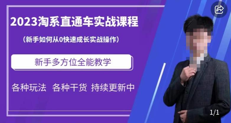 2023淘系直通车保姆式运营讲解，新手如何从0快速成长实战操作，新手多方位全能教学-第一资源站
