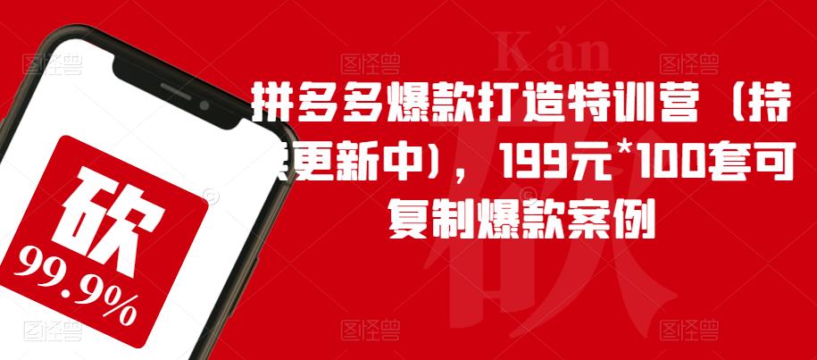 拼多多爆款打造特训营（持续更新中)，199元*100套可复制爆款案例-第一资源站