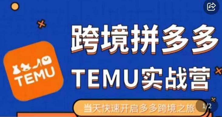 大鹏出海·拼多多跨境temu运营指导，开店注册+选品+核价上架，日出千单实战课-第一资源站
