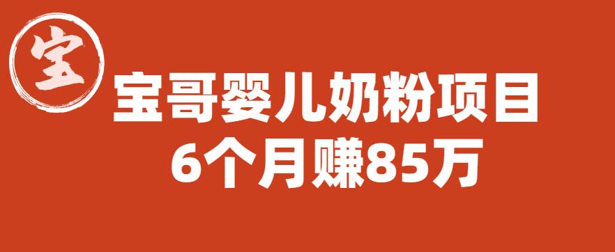 宝哥婴儿奶粉项目，6个月赚85w【图文非视频】【揭秘】-第一资源站