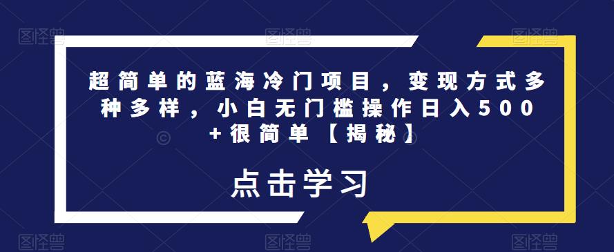超简单的蓝海冷门项目，变现方式多种多样，小白无门槛操作日入500+很简单【揭秘】-第一资源站