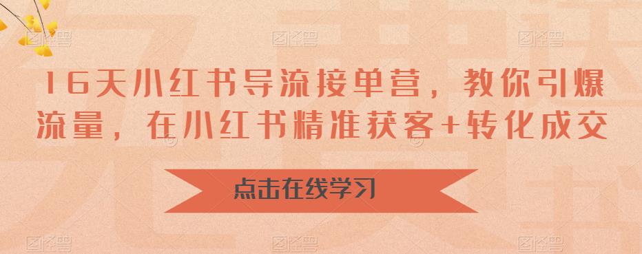 16天小红书导流接单营，教你引爆流量，在小红书精准获客+转化成交-第一资源站