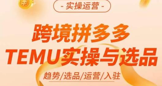 伍跃·跨境拼多多TEMU实操与选品，​趋势/选品/运营/入住（27节完整）-第一资源站