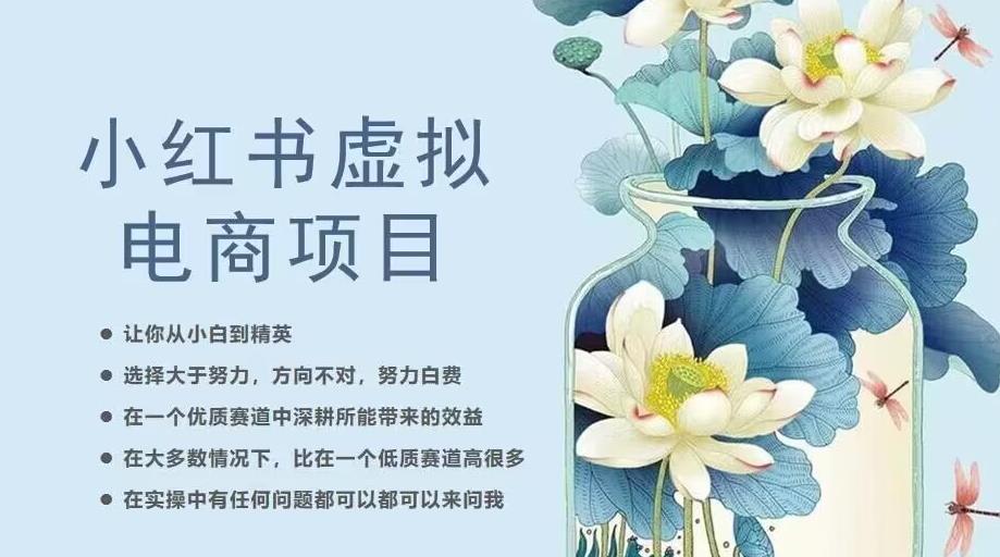 小红书虚拟电商从0到1，让你从小白到精英（20节实操课程）-第一资源站