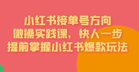 接单号方向·小红书微操实践课，快人一步，提前掌握小红书爆款玩法-第一资源站