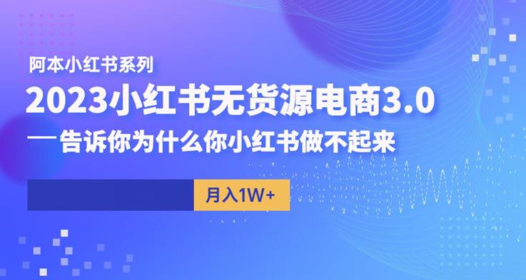 阿本小红书无货源电商3.0，告诉你为什么你小红书做不起来-第一资源站