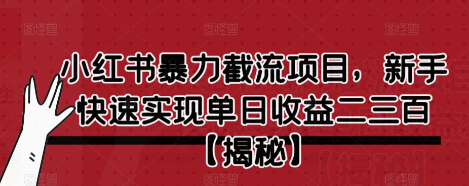 小红书暴力截流项目，新手快速实现单日收益二三百【仅揭秘】-第一资源站