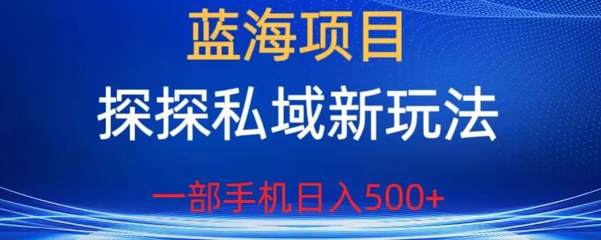 蓝海项目，探探私域新玩法，一部手机日入500+很轻松【揭秘】-第一资源站