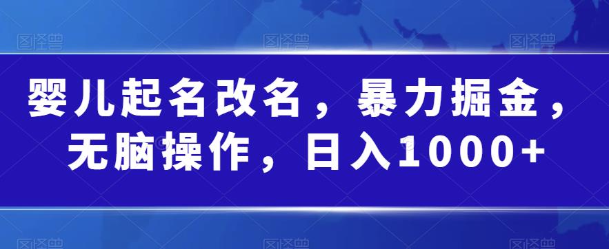 婴儿起名改名，暴力掘金，无脑操作，日入1000+【揭秘】-第一资源站