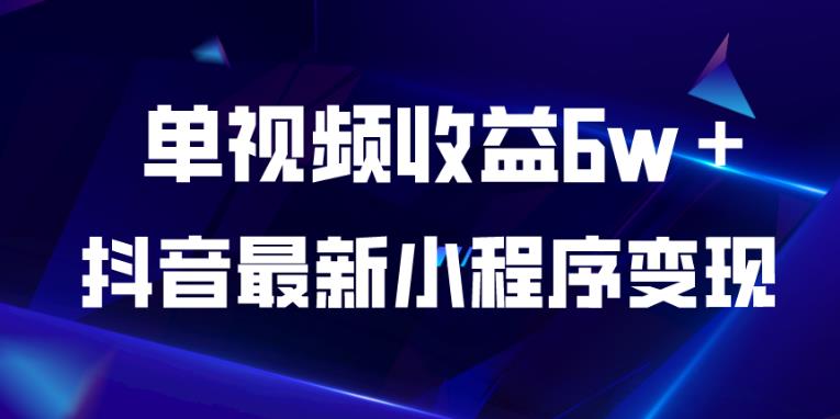 抖音最新小程序变现项目，单视频收益6w＋，小白可做【揭秘】-第一资源站