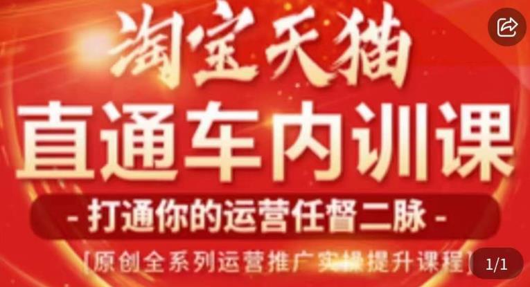 天问电商·2023淘宝天猫直通车内训课，零基础学起直通车运营实操课程-第一资源站