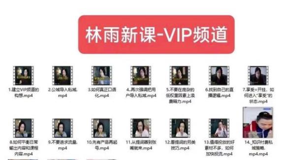 林雨新课VIP频道，玩赚私域/朋友圈/社群-第一资源站
