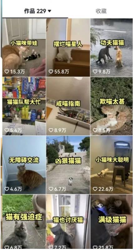 拆解：抖音盘点类中视频变现副业项目，视频版一条龙大解析分享给你-第一资源站