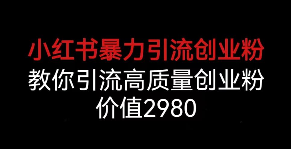 小红书暴力引流创业粉，教你引流高质量创业粉，价值2980【揭秘】-第一资源站
