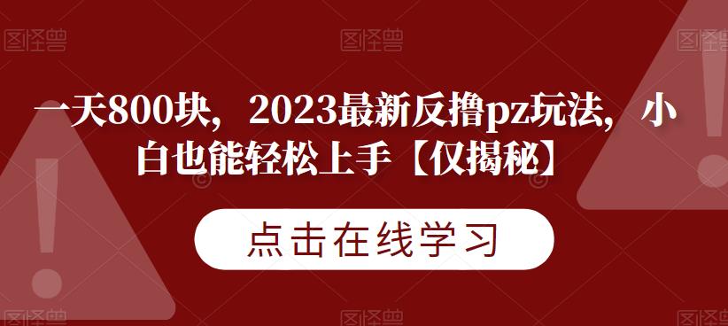 一天800块，2023最新反撸pz玩法，小白也能轻松上手【仅揭秘】-第一资源站