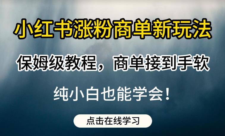 小红书涨粉商单新玩法，保姆级教程，商单接到手软，纯小白也能学会【揭秘】-第一资源站