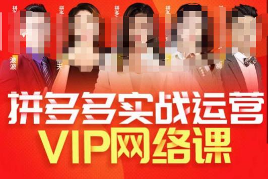 推易拼多多VIP全套直播课程，拼多多店铺实操玩法+实战玩法选款内功+直通车高阶等-第一资源站