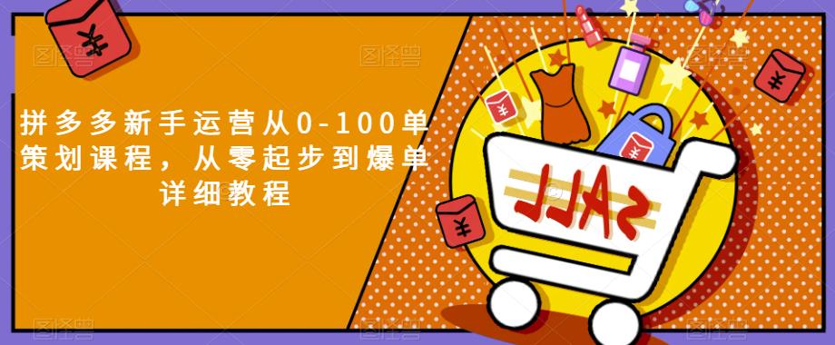 拼多多新手运营从0-100单策划课程，从零起步到爆单详细教程-第一资源站