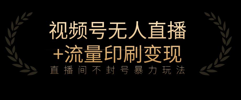 全网首发视频号不封号无人直播暴利玩法+流量印刷机变现，日入1000+【揭秘】-第一资源站