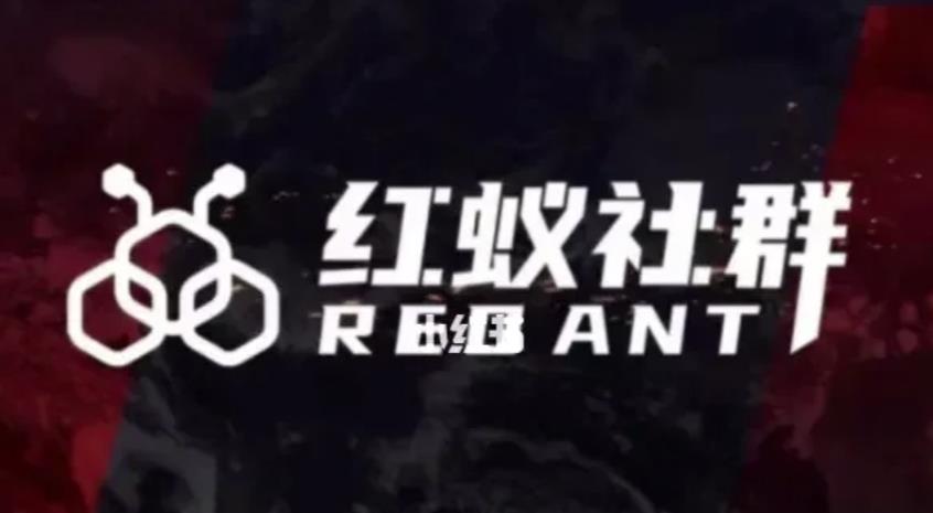 社群运营：红蚁社群【48节落地系统课程+2000人高端社群】-第一资源站