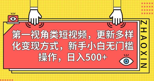 第一视角类短视频，更新多样化变现方式，新手小白无门槛操作，日入500+【揭秘】-第一资源站