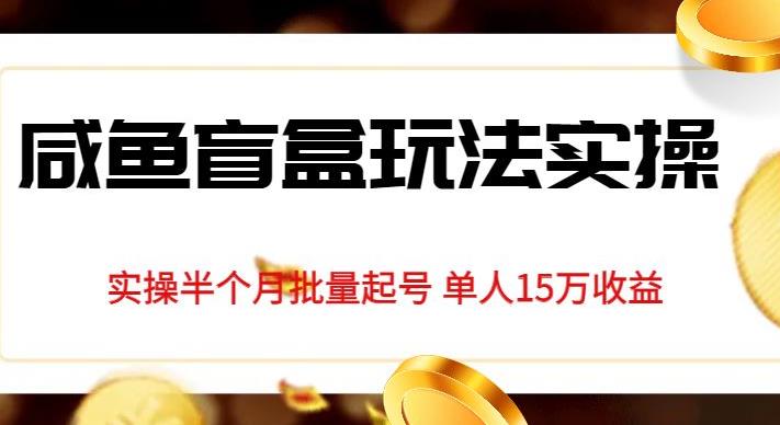 独家首发咸鱼盲盒玩法实操，半个月批量起号单人15万收益【揭秘】-第一资源站