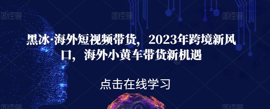 黑冰·海外短视频带货，2023年跨境新风口，海外小黄车带货新机遇-第一资源站