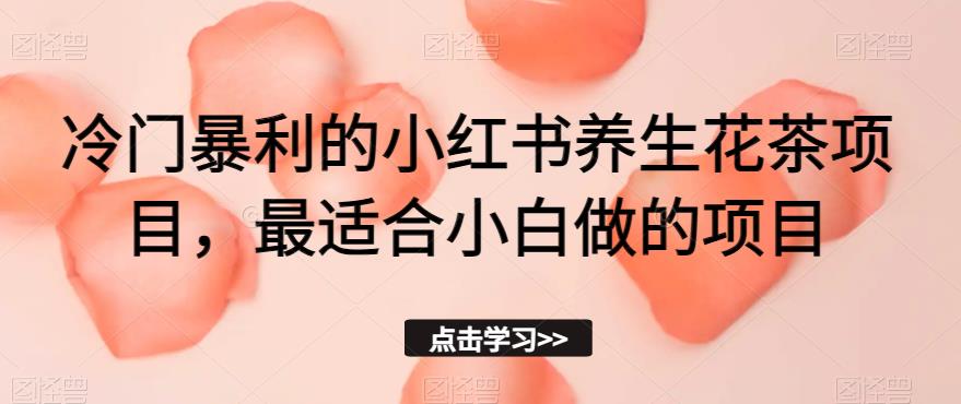 冷门暴利的小红书养生花茶项目，最适合小白做的项目【揭秘】-第一资源站