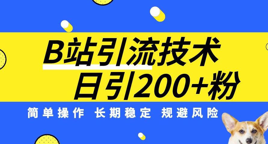 B站引流技术：每天引流200精准粉，简单操作，长期稳定，规避风险-第一资源站