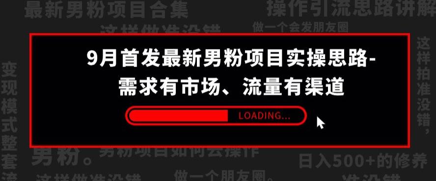 9月首发最新男粉项目实操思路-需求有市场，流量有渠道【揭秘】-第一资源站