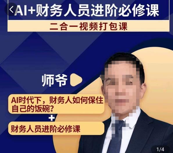 AI+财务人员进阶必修课二合一视频打包课，财务人员进阶必修课-第一资源站