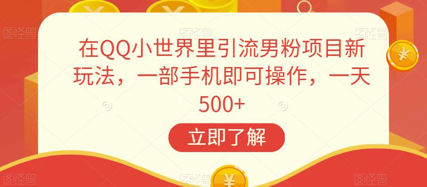 在QQ小世界里引流男粉项目新玩法，一部手机即可操作，一天500+【揭秘】-第一资源站