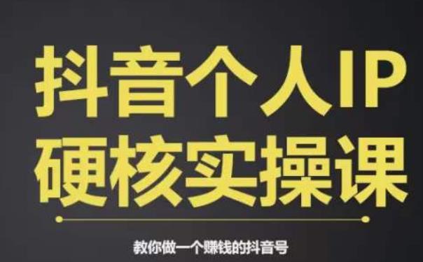 个人IP创富系统实战课，商业定位，流量打造，短视频变现，教你做个赚钱的抖音号-第一资源站