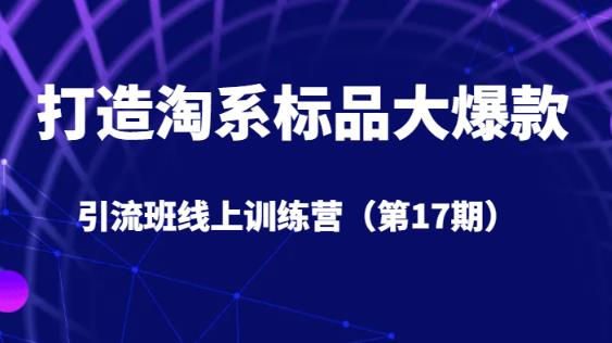 打造淘系标品大爆款引流班线上训练营（第17期）5天直播授课-第一资源站