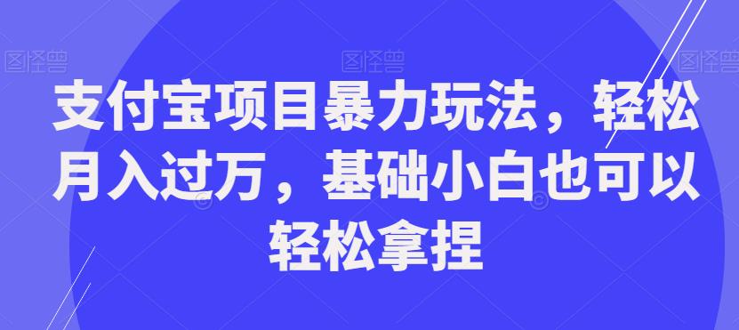 支付宝项目暴力玩法，轻松月入过万，基础小白也可以轻松拿捏【揭秘】-第一资源站