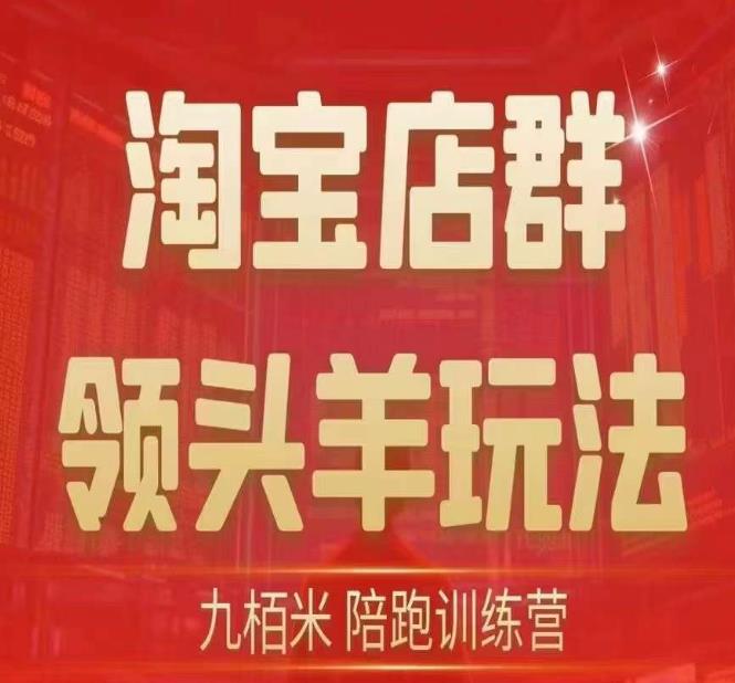 九栢米-淘宝店群领头羊玩法，教你整个淘宝店群领头羊玩法以及精细化/终极蓝海/尾销等内容-第一资源站