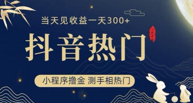 抖音最新小程序撸金，测手相上热门，当天见收益一小时变现300+【揭秘】-第一资源站