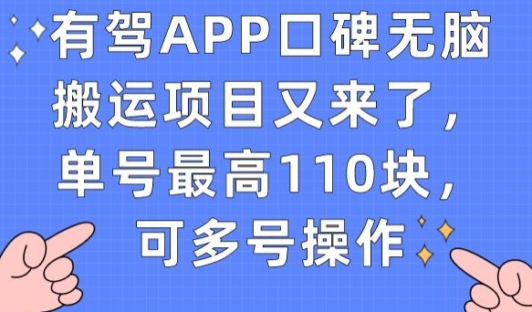 有驾APP口碑无脑搬运项目又来了，单号最高110块，可多号操作-第一资源站