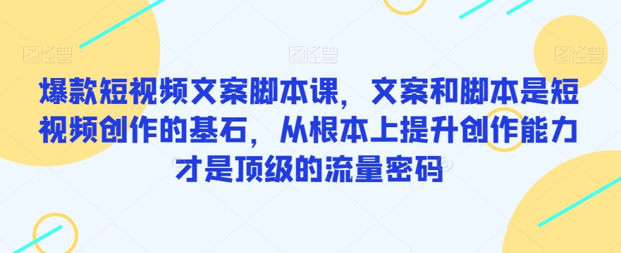爆款短视频文案脚本课，文案和脚本是短视频创作的基石，从根本上提升创作能力才是顶级的流量密码-第一资源站