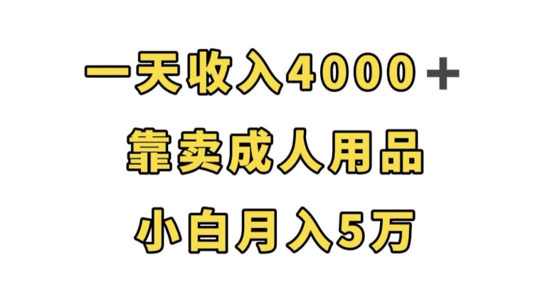 一天收入4000+，靠卖成人用品，小白轻松月入5万【揭秘】-第一资源站