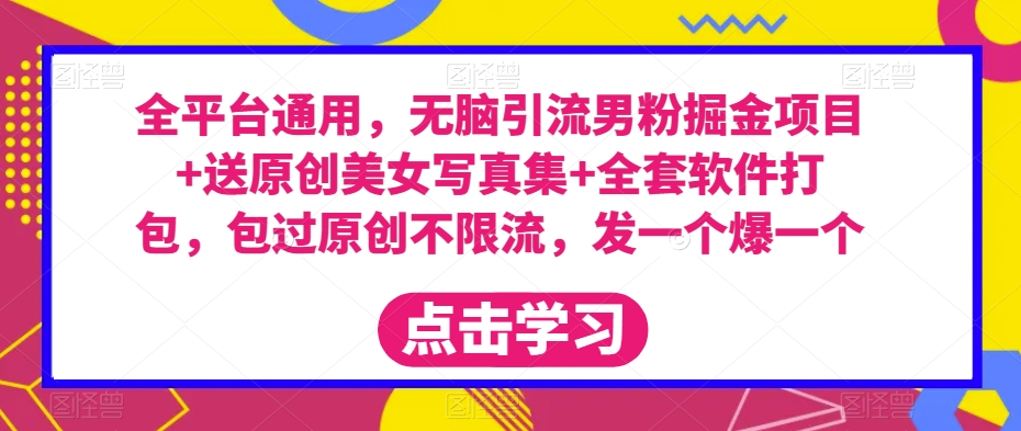 全平台通用，无脑引流男粉掘金项目+送原创美女写真集+全套软件打包，包过原创不限流，发一个爆一个【揭秘】-第一资源站
